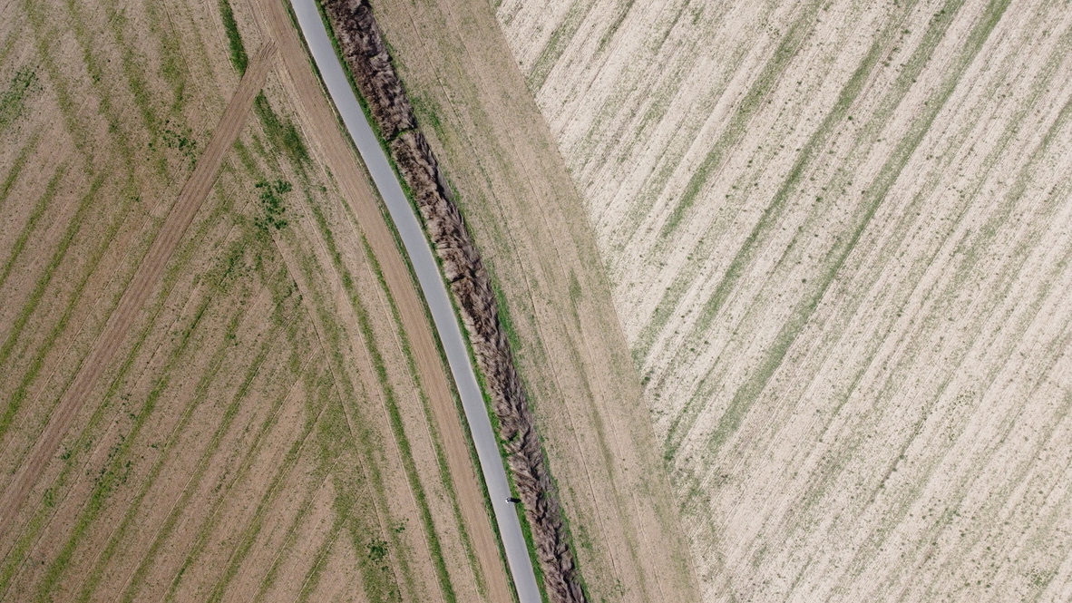 宿舍门口的自然保护区:Messdorfer Feld